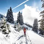 In Portes Du Soleil