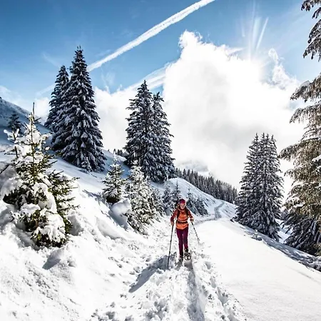 In Portes Du Soleil