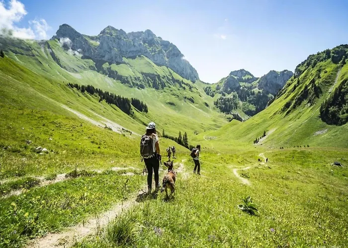 Apartamento In Portes Du Soleil
