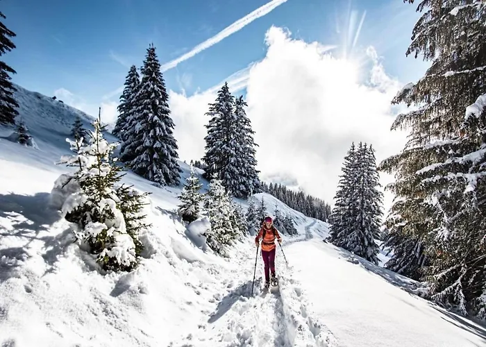 In Portes Du Soleil